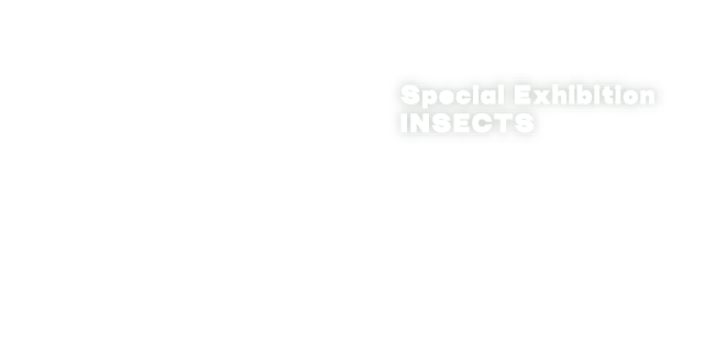昆虫MANIAC