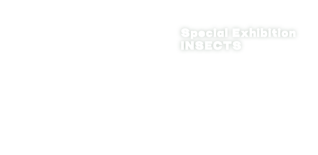 昆虫MANIAC
