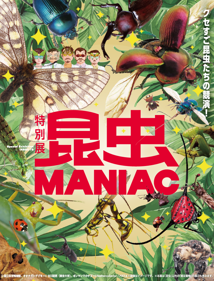 特別展「昆虫MANIAC」