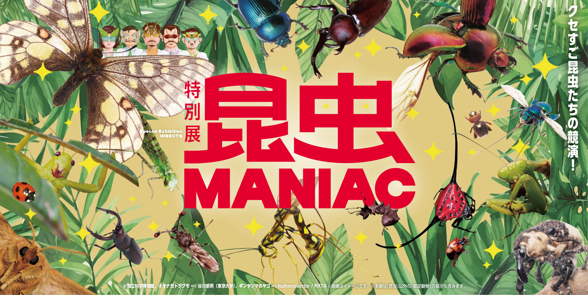 特別展「昆虫MANIAC」